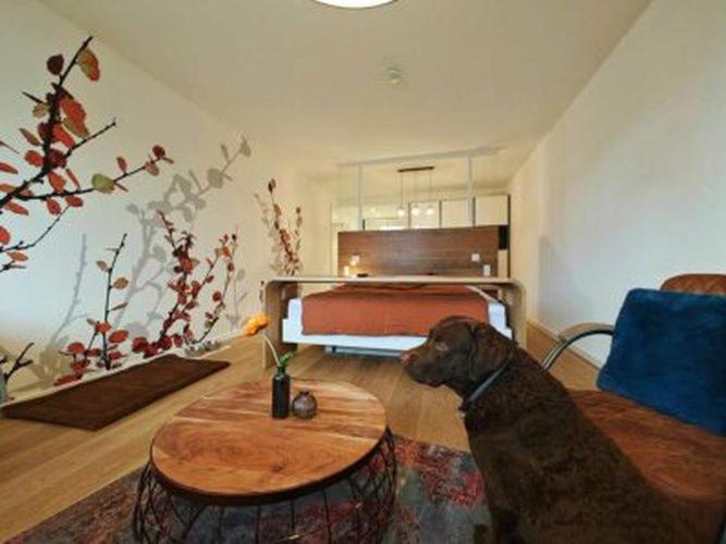 Artroom Boarding Apartment Bissendorf Zewnętrze zdjęcie